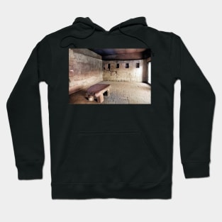 vintage colorized photo of ransom room Hoodie